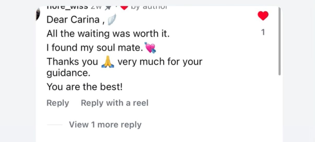 Client testimonial screenshot 30